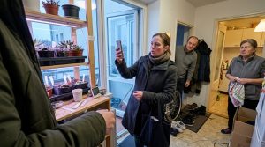 „Anyád kirakta a növényeidet a fagyba” közölte András, és még csak meg sem próbált zavart arcot vágni
